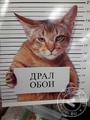 Скороходов Сергей Петрович