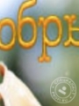 Шафикова Ада Сергеевна Шафикова Ада Сергеевна