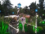 Зорина Галина Михайловна